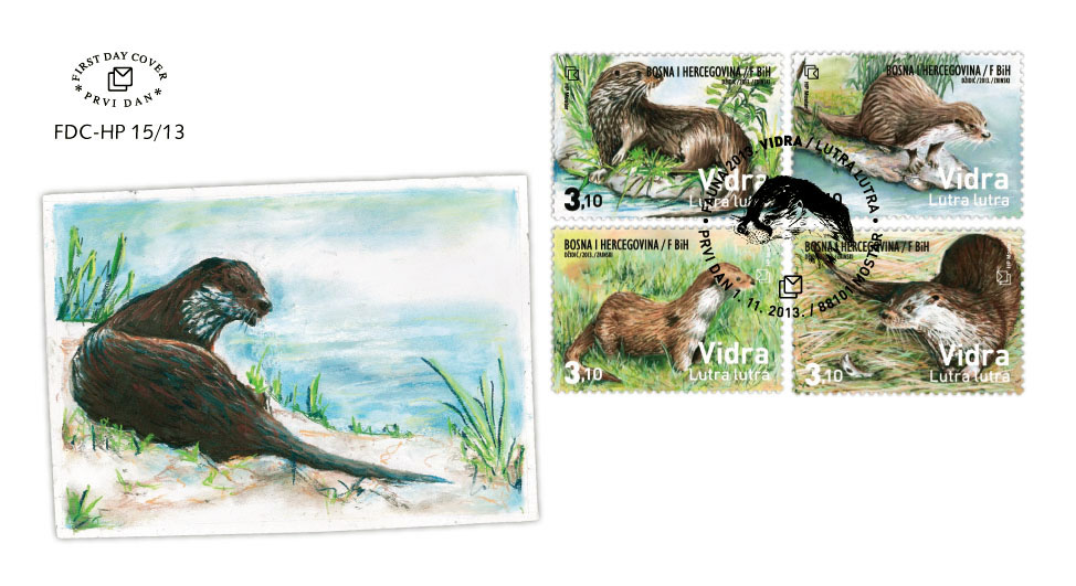 FDC - Fauna 2013.