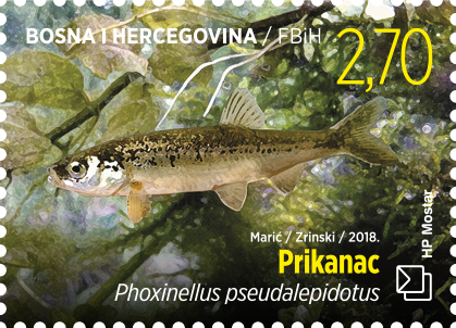 Fauna 2018 - Prikanac
