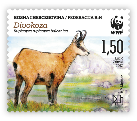 Fauna 2017 - Light brown chamois