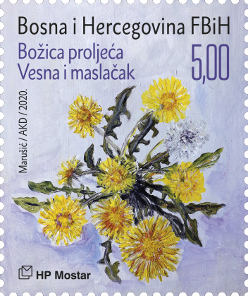 Myths and flora 2020