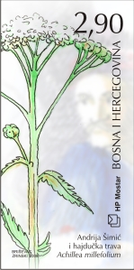 Mitovi i flora 2008. - Andrija Šimić i hajdučka trava