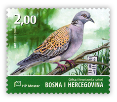 Fauna 2007. - Ptice Hutova blata Grlica