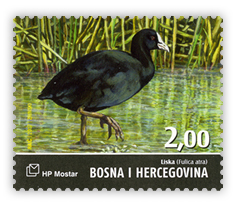 Fauna 2007. - Ptice Hutova blata - Liska