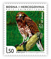 Fauna 2008. - Ptice Hutova blata Zmijar