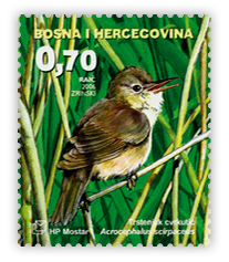 Fauna 2006. - Ptice Hutova blata Trstenjak cvrkutić