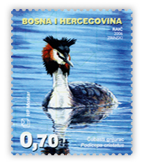 Fauna 2006. - Ptice Hutova blata Ćubasti gnjurac