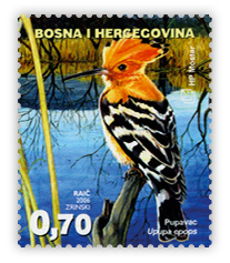 Fauna 2006. - Ptice Hutova blata Pupavac