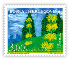 Flora 2007. - Biljke Parka prirode Blidinje - Lincura