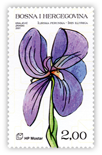 Mitovi i flora 2007. - Ilirska perunika