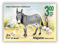 Fauna 2014 - Donkey