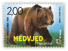 Fauna 2015 - Bear