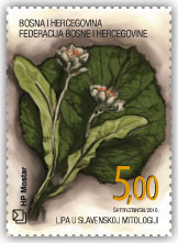 Mitovi i flora 2010. - Lipa u slavenskoj mitologiji