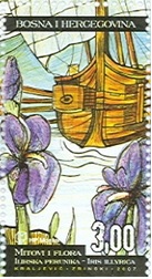 Mitovi i flora 2007. - Ilirska perunika u mitovima