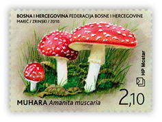 Flora 2010. - Gljive - Muhara