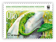 Fauna 2010. - Balkanski zeleni gušter na stijeni