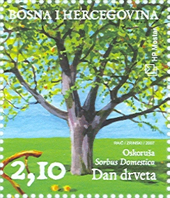 Dan drveta - Oskoruša