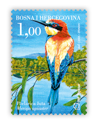 Fauna 2005 - Ptice doline Neretve Pčelarica žuta