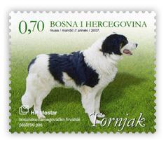 Tornjak - bosansko-hercegovačko-hrvatski pastirski pas (crni pas)