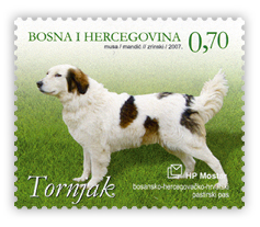 Tornjak - bosansko-hercegovačko-hrvatski pastirski pas (smeđi pas)