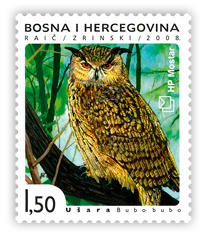 Fauna 2008. - Ptice Hutova blata Ušara