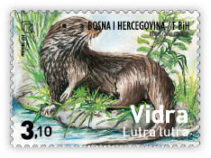 Fauna 2013 - Otter on coast