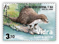 Fauna 2013 - Otter on rock