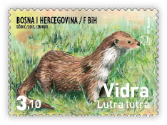 Fauna 2013 - Otter in grass