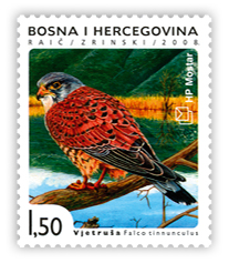 Fauna 2008. - Ptice Hutova blata Vjetruša