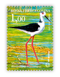 Fauna 2005. - Ptice doline Neretve Vlastelica crvenonoga