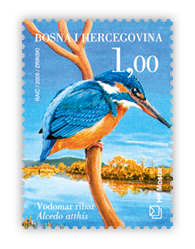 Fauna 2005. - Ptice doline Neretve Vodomar ribar