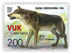 Fauna 2015 - Wolf