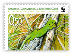 Fauna 2010. - Balkanski zeleni gušter na stablu